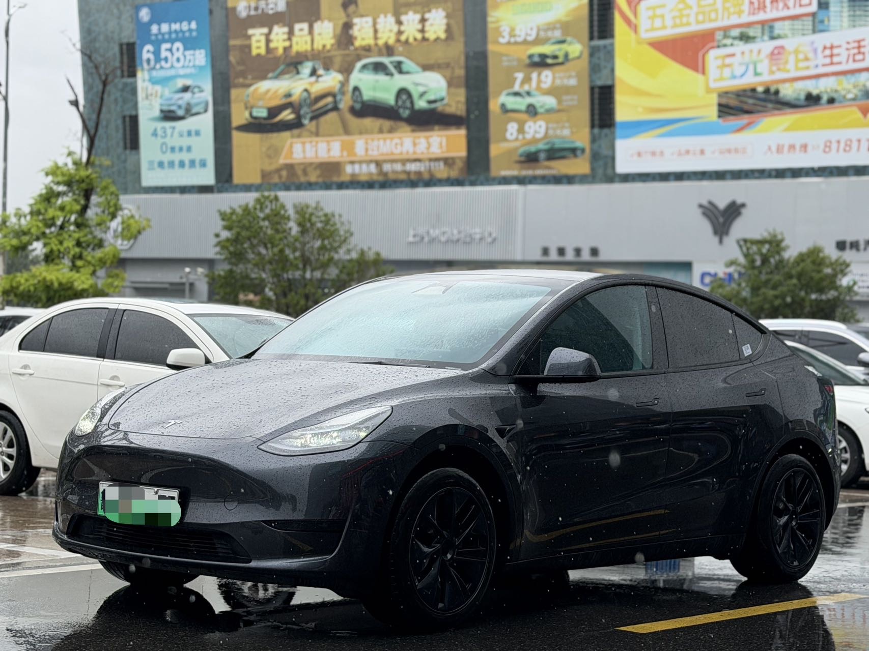 Tesla Model Y 2024 Tesla Model Y 2024 car image