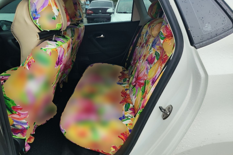 Volkswagen Polo 2019 car image #17