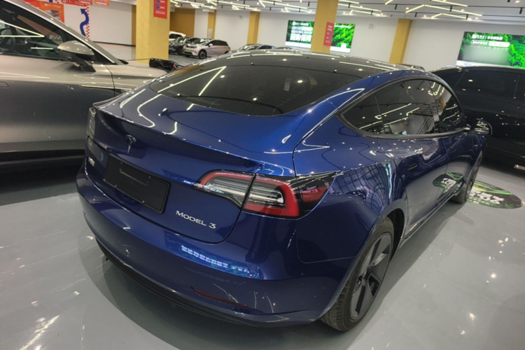 Tesla Model 3 2021 #7 Tesla Model 3 2021 car image #7