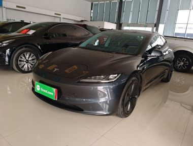 Tesla Model 3 2024 car image 