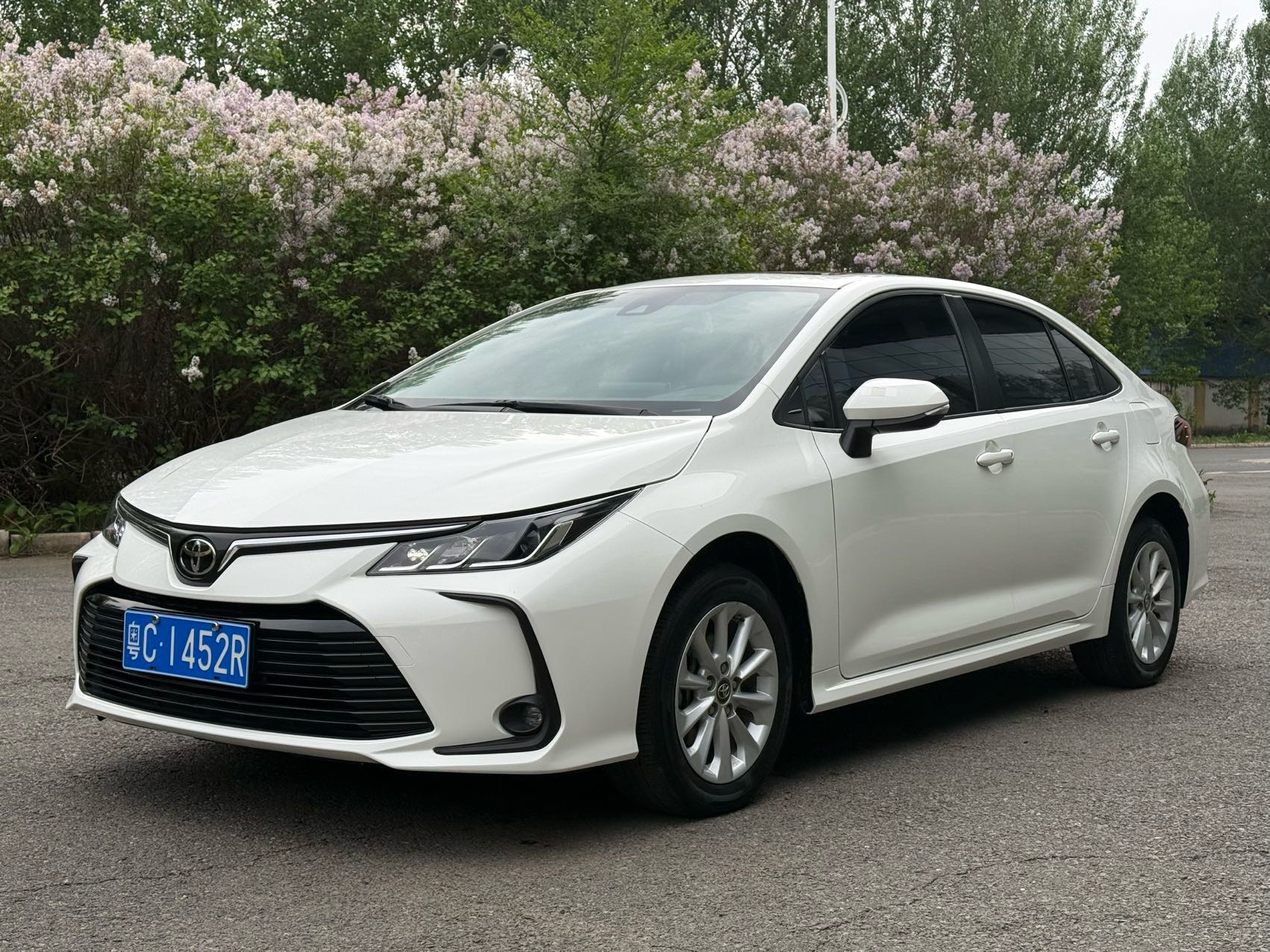 Toyota Corolla 2023 Toyota Corolla 2023 car image