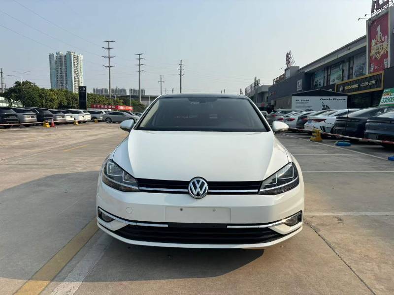 Volkswagen Golf 2019 Volkswagen Golf 2019 imagen de coche