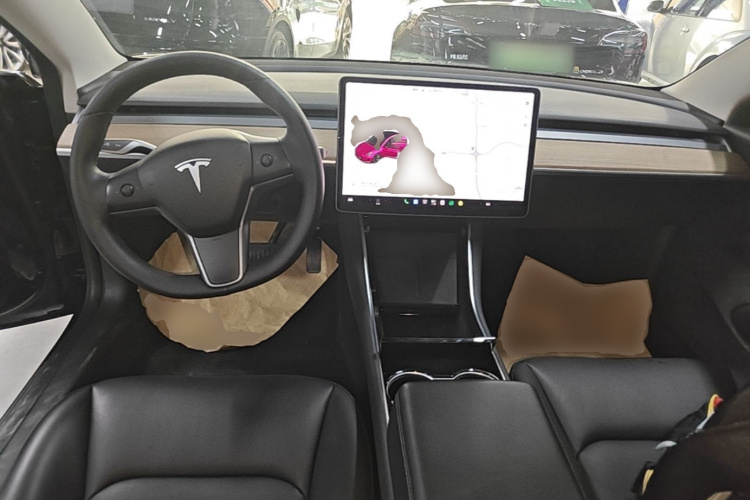 Tesla Model 3 2020 car image #10
