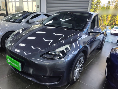 Tesla Model Y 2022 immagine di auto 