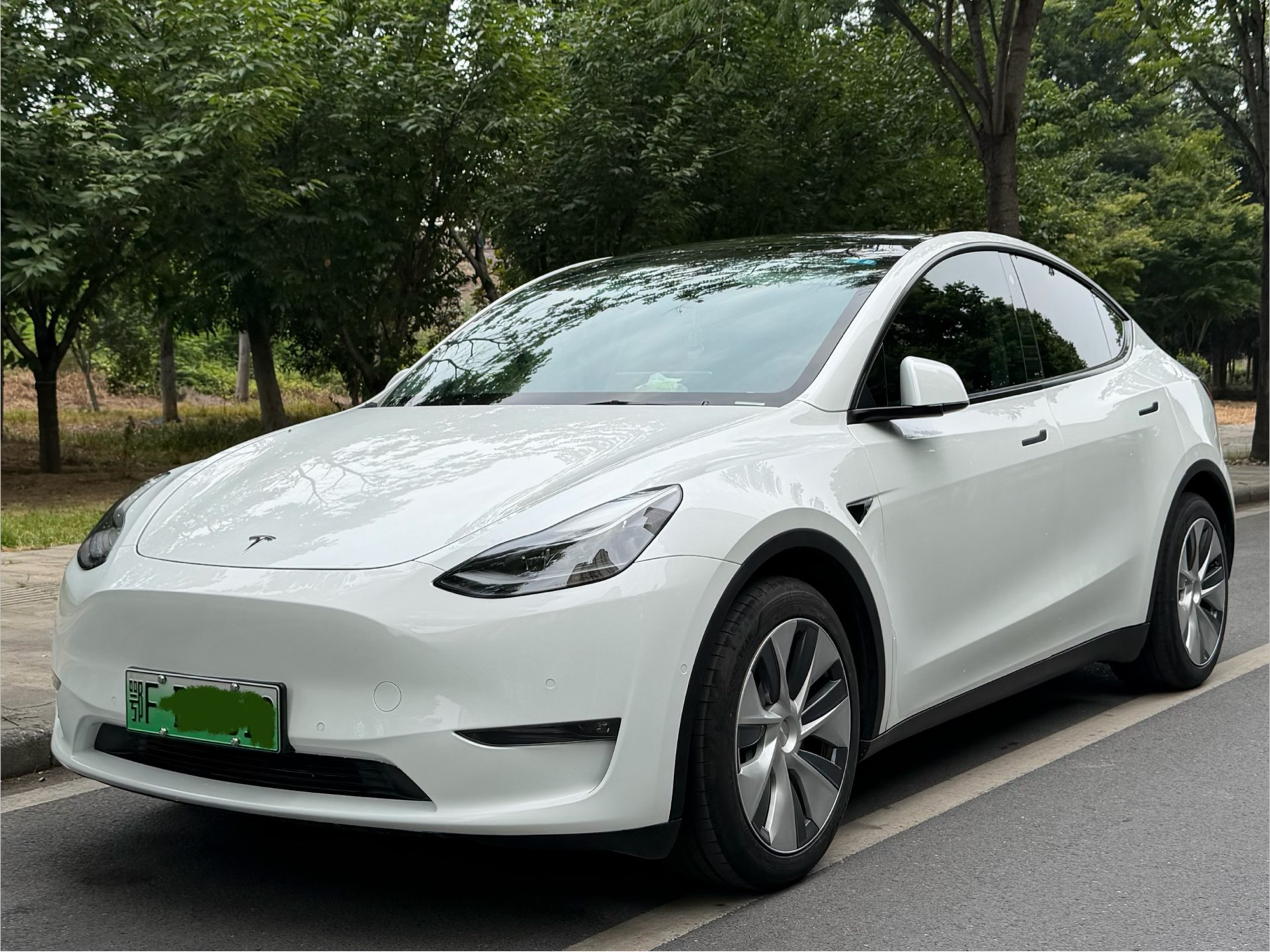 Tesla Model Y 2021 car image 