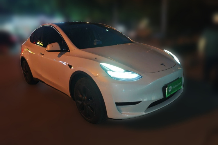 Tesla Model Y 2024 car image #4