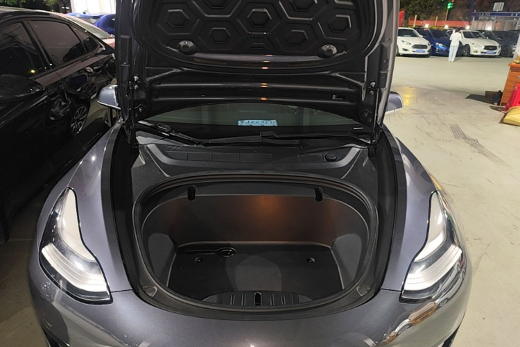 Tesla Model 3 2020 immagine di auto #22