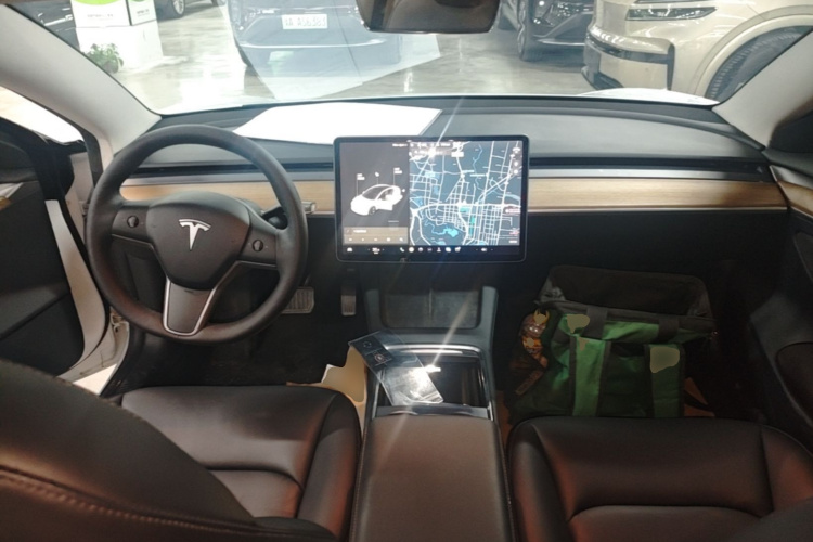 Tesla Model 3 2021 #10 Tesla Model 3 2021 car image #10