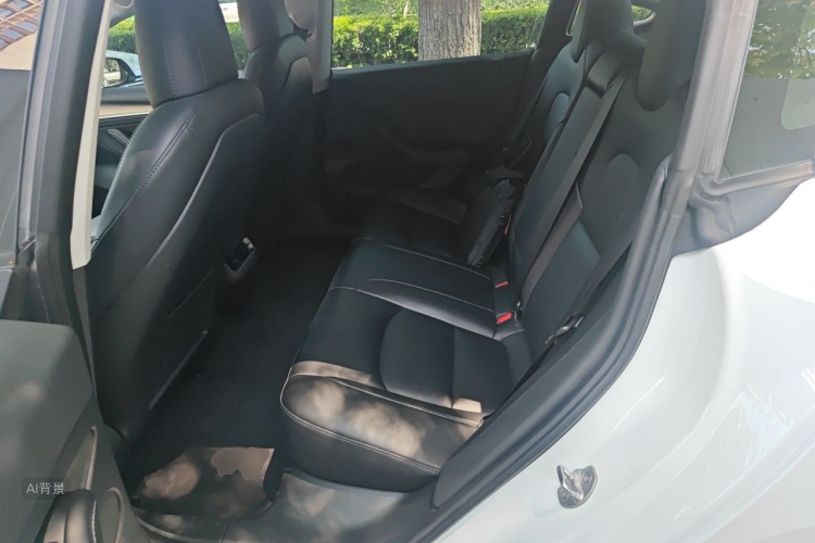 Tesla Model 3 2022 car image #19