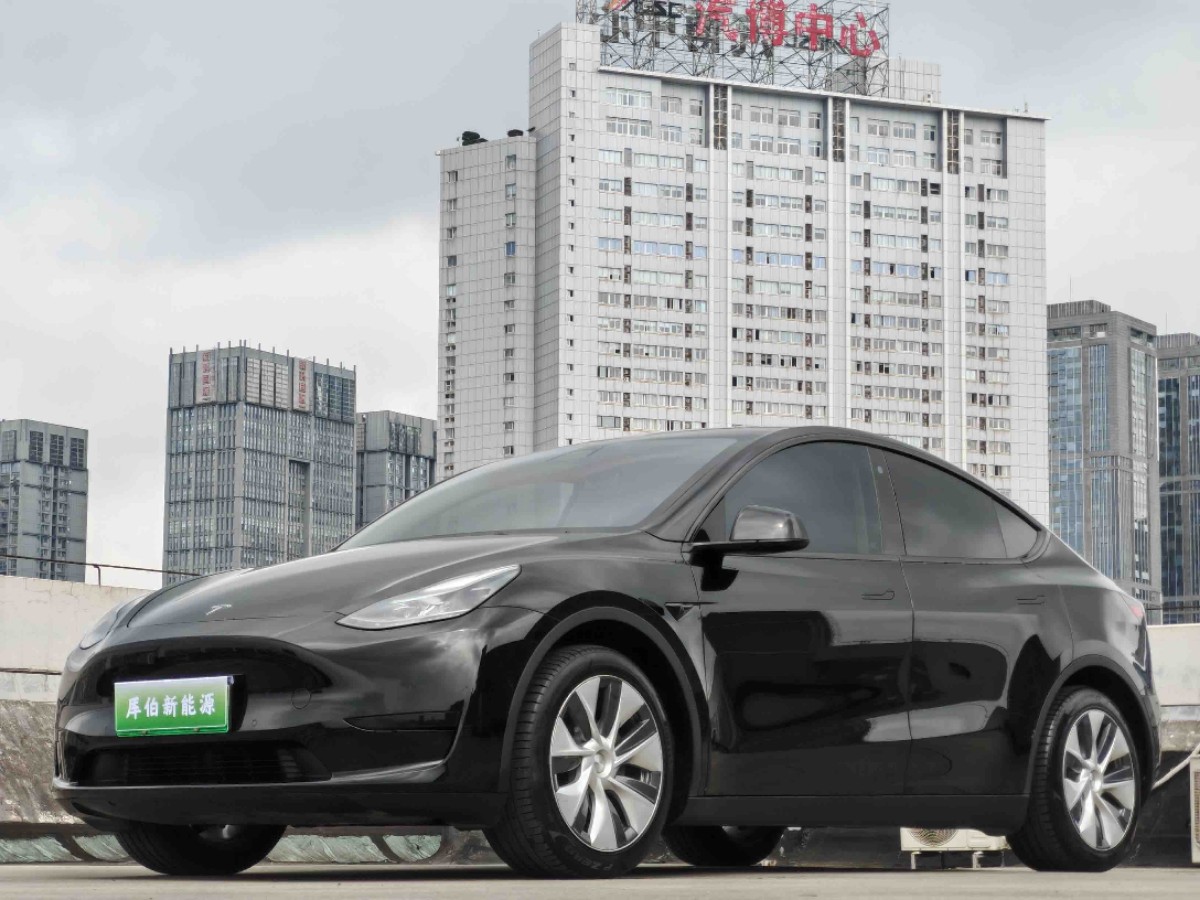 Tesla Model Y 2023 Tesla Model Y 2023 car image