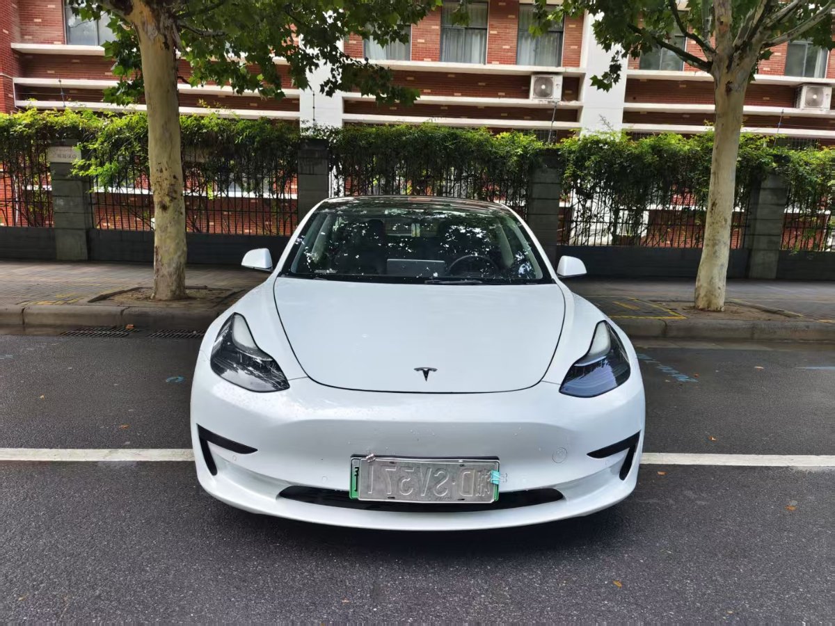 Tesla Model 3 2021 #3 Tesla Model 3 2021 car image #3