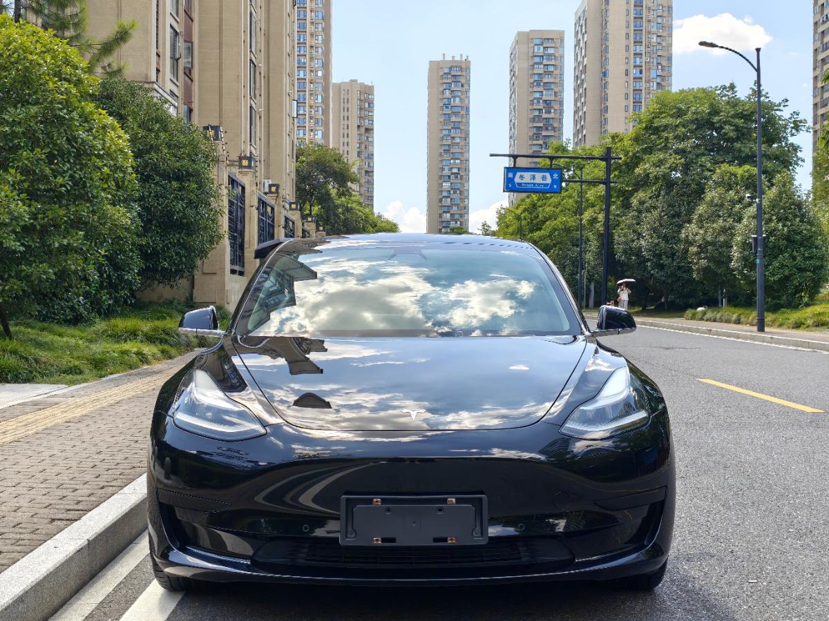 Tesla Model 3 2020 #2 Tesla Model 3 2020 car image #2