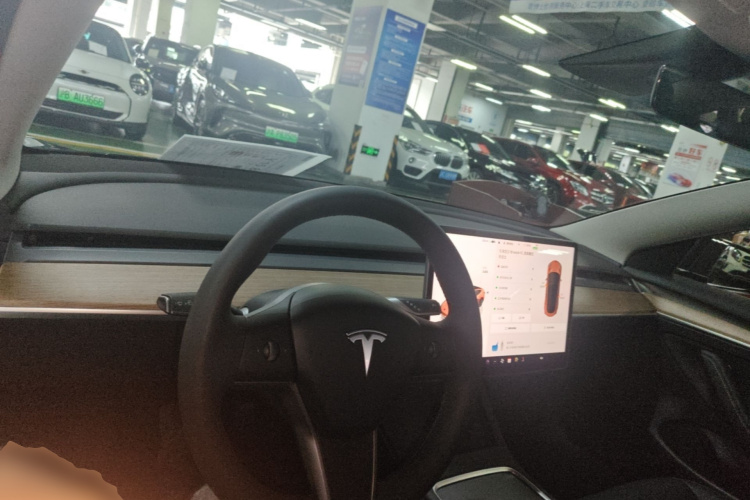 Tesla Model 3 2023 car image #10