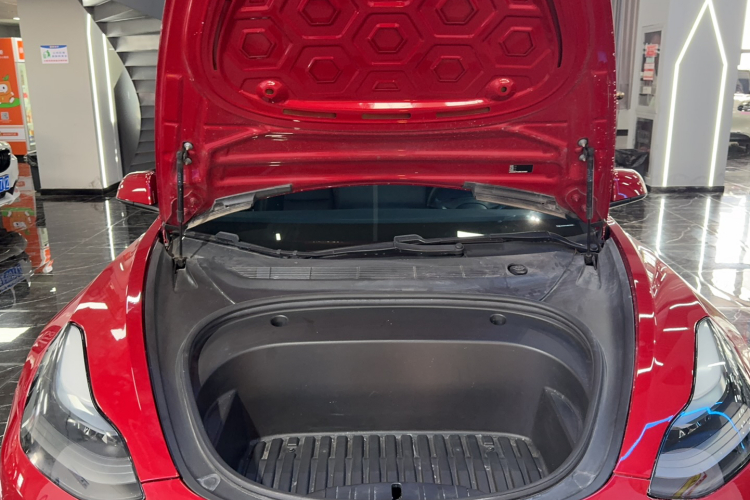 Tesla Model 3 2021 #18 Tesla Model 3 2021 car image #18