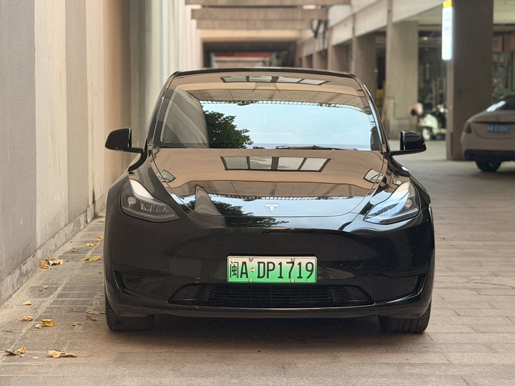 Tesla Model Y 2023 #2 Tesla Model Y 2023 car image #2