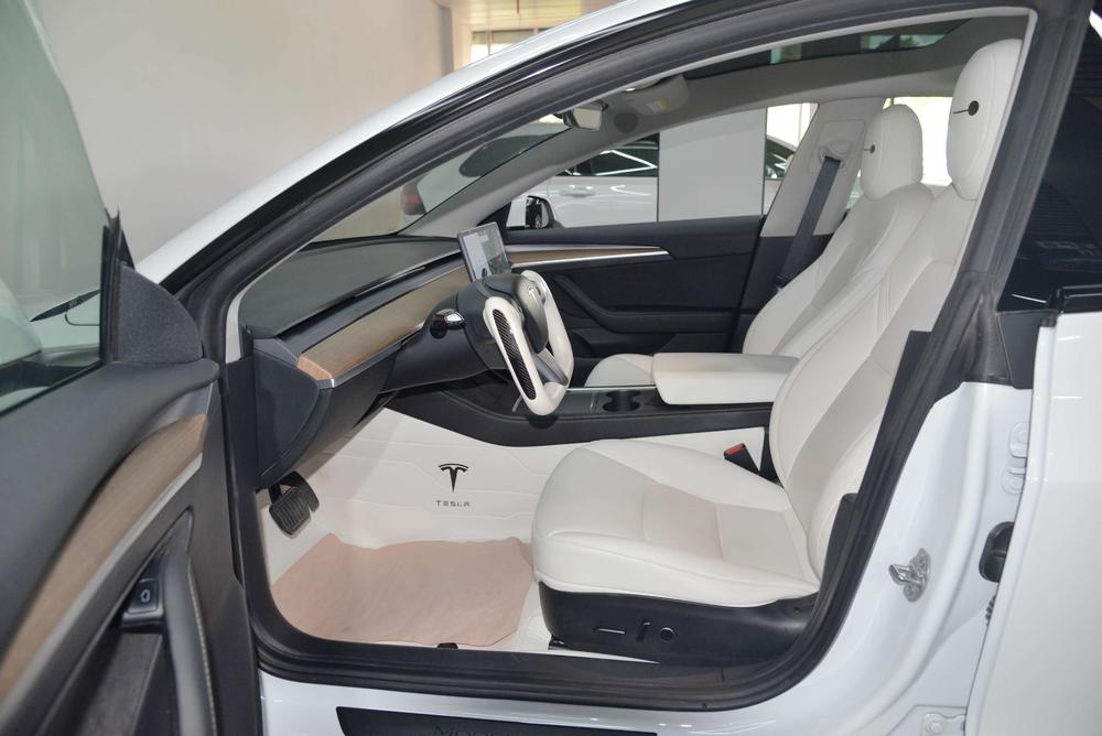 Tesla Model 3 2021 imagem de carro #28