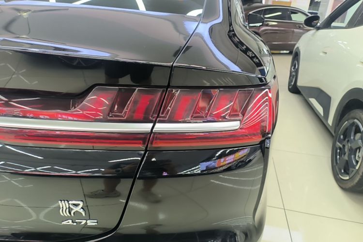 BYD Han 2021 #8 BYD Han 2021 immagine di auto #8