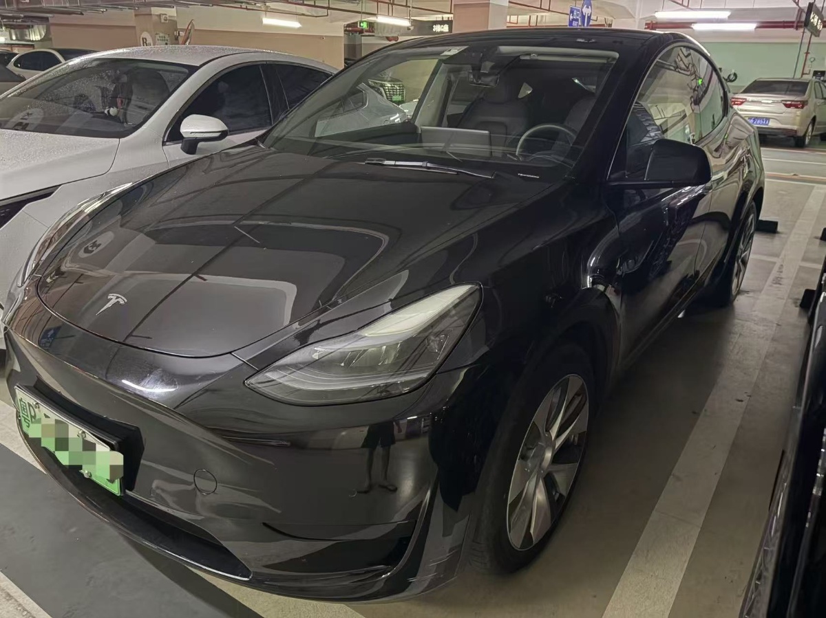 Tesla Model Y 2022 car image 