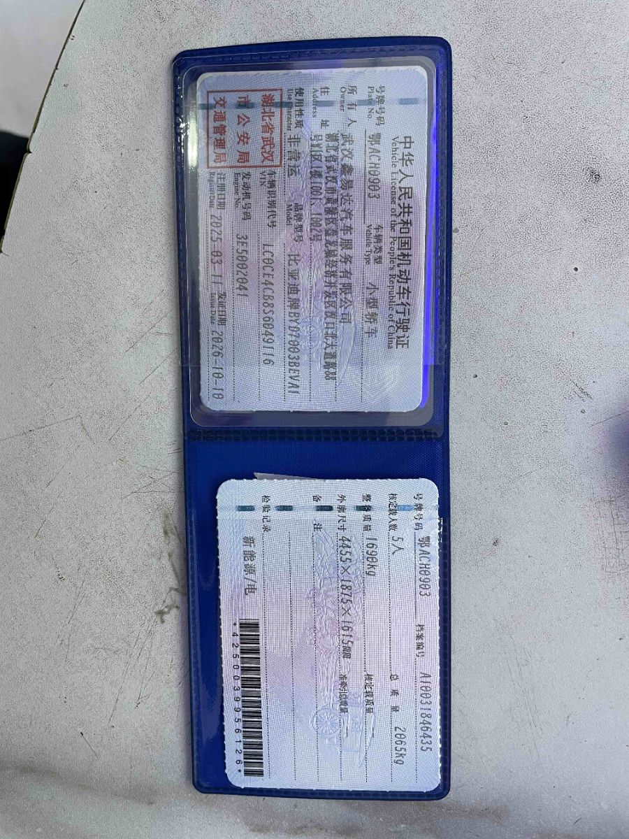 BYD Yuan Plus 2025 #16 BYD Yuan Plus 2025 immagine di auto #16