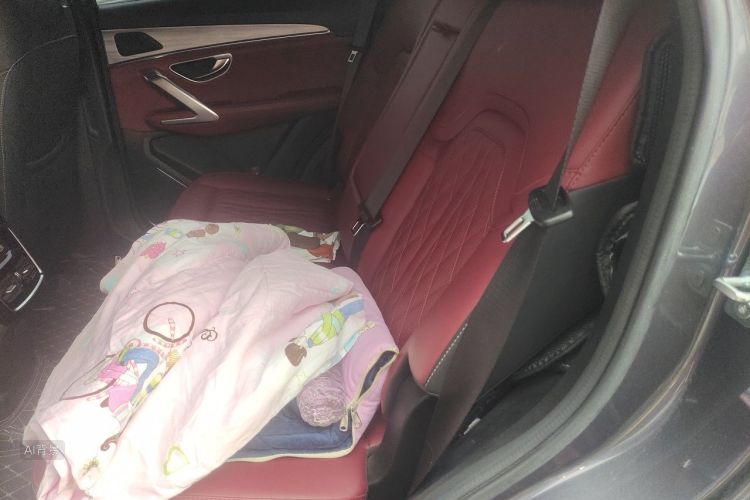 Jetour X70 PLUS 2023 car image #19