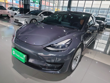 Tesla Model 3 2021 Tesla Model 3 2021 immagine di auto