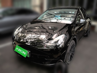 Tesla Model Y 2023 Tesla Model Y 2023 car image