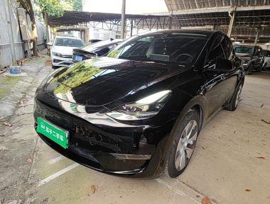 Tesla Model Y 2021 Tesla Model Y 2021 صورة سيارة