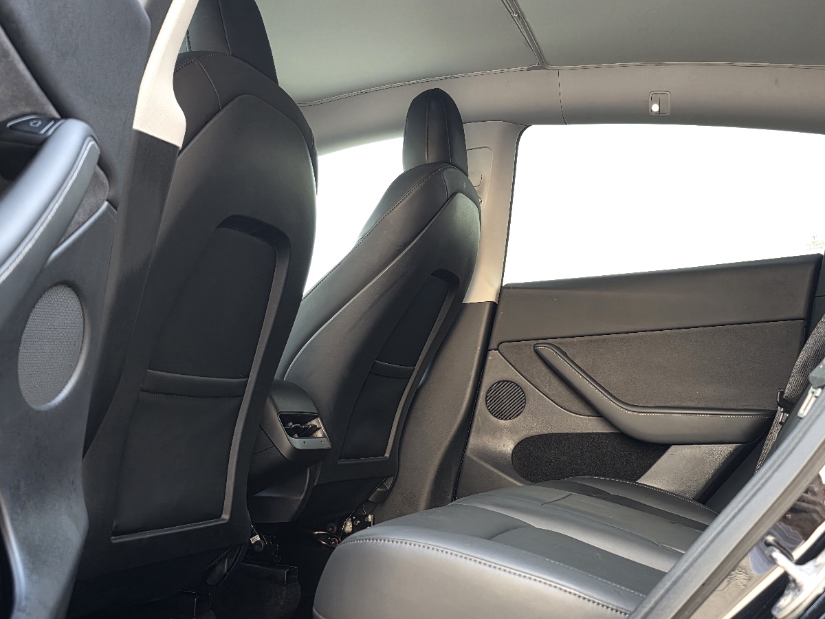 Tesla Model Y 2021 car image #6