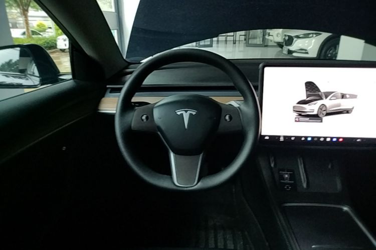 Tesla Model 3 2023 car image #11