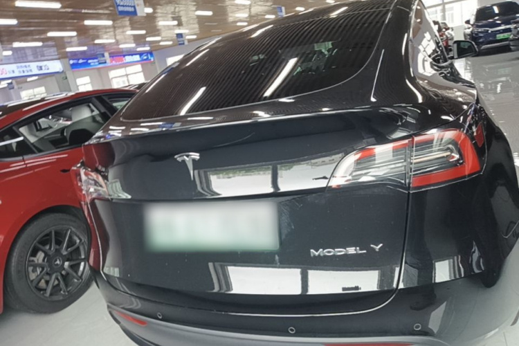 Tesla Model Y 2023 #4 Tesla Model Y 2023 car image #4