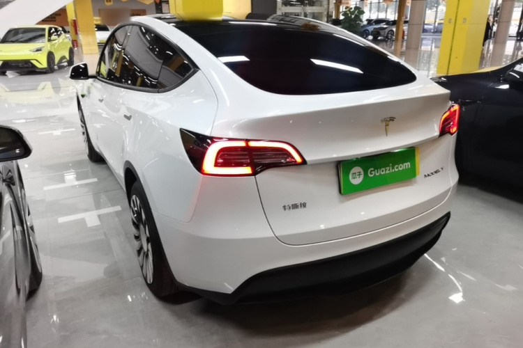 Tesla Model Y 2024 صورة سيارة #7