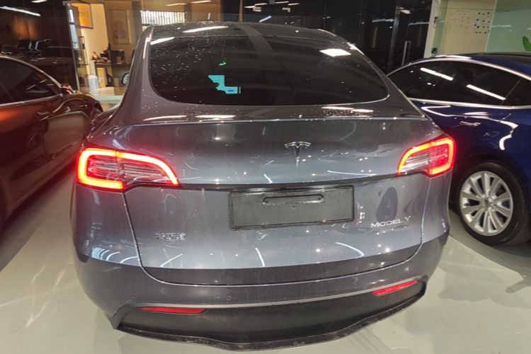 Tesla Model Y 2021 car image #6