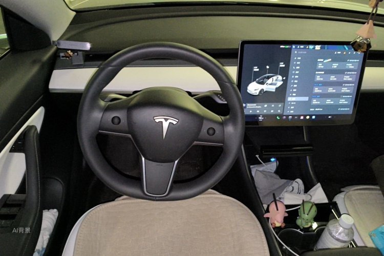 Tesla Model 3 2020 #12 Tesla Model 3 2020 car image #12