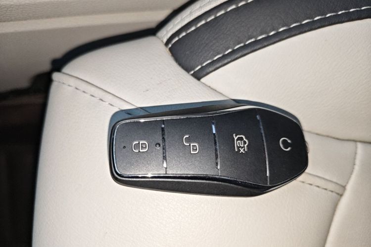 BYD Yuan Pro 2022 #9 BYD Yuan Pro 2022 immagine di auto #9