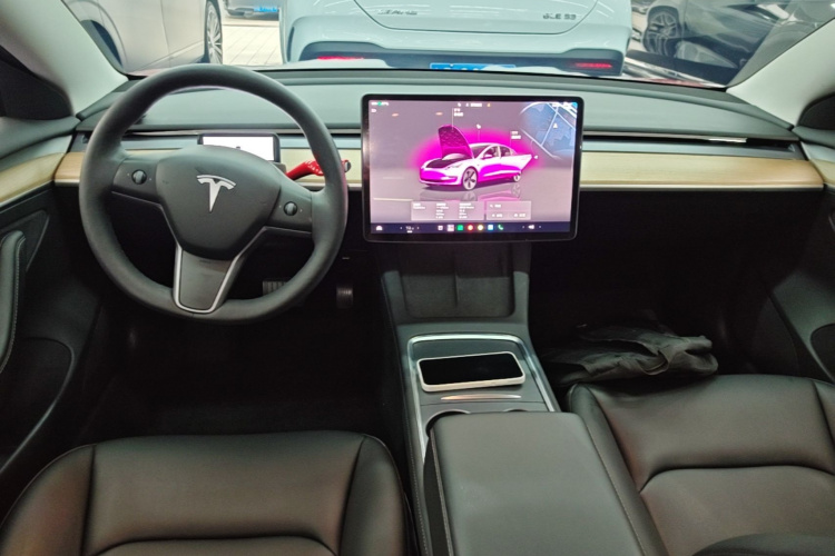 Tesla Model 3 2022 car image #10