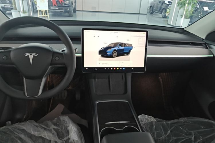 Tesla Model Y 2025 car image #17