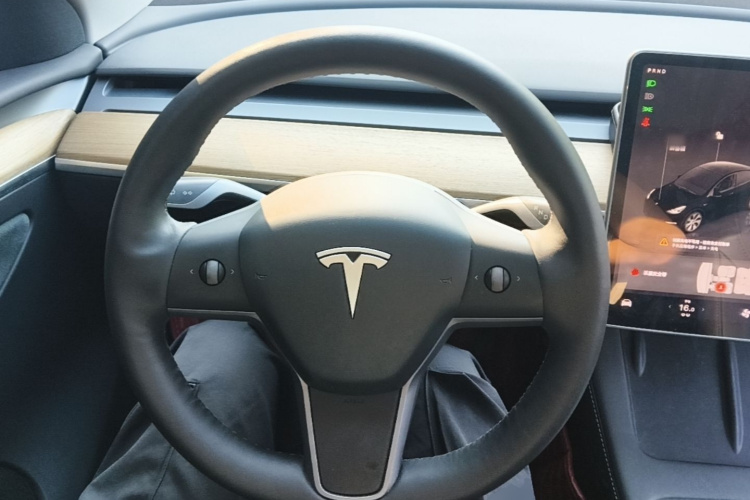 Tesla Model Y 2023 immagine di auto #11