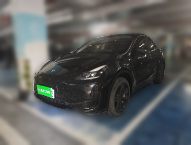 Tesla Model Y 2023 Tesla Model Y 2023 car image