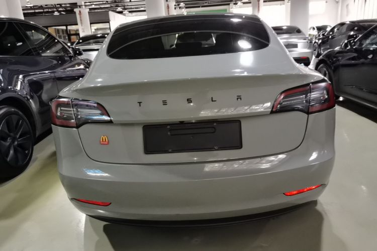 Tesla Model 3 2023 immagine di auto #6