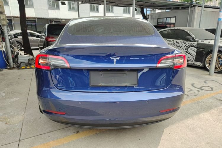 Tesla Model 3 2020 car image #6