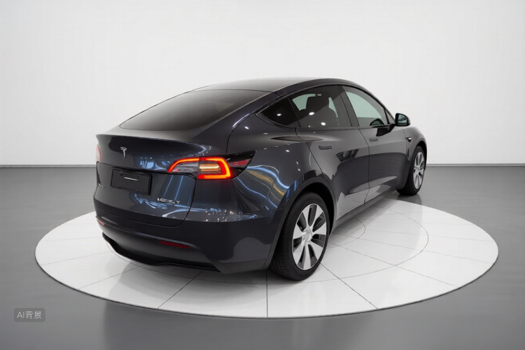 Tesla Model Y 2021 car image #7