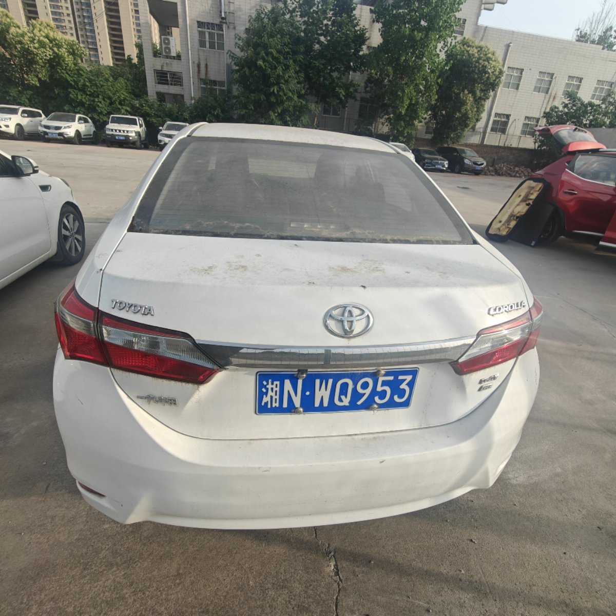 Toyota Corolla 2019 #8 Toyota Corolla 2019 car image #8
