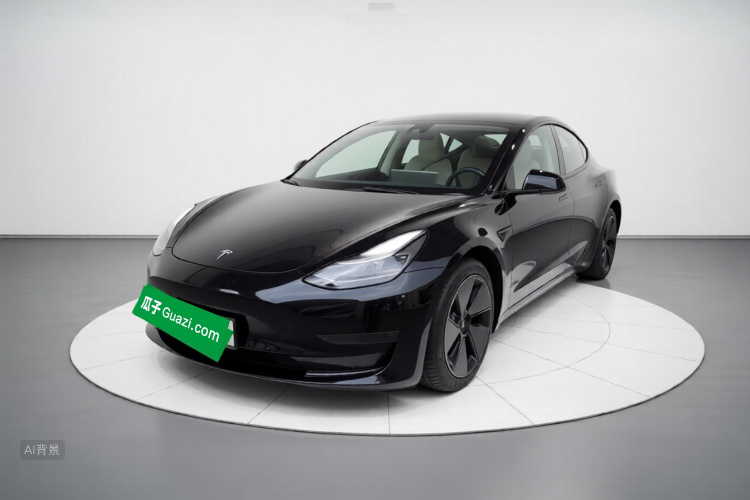 Tesla Model 3 2022 #2 Tesla Model 3 2022 car image #2
