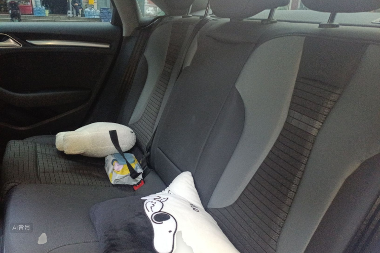 奥迪 奥迪A3 2020 汽车图片 #19