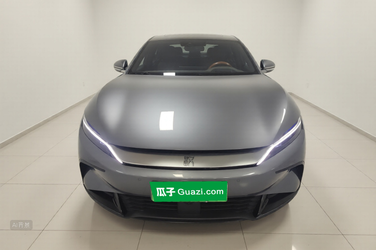 BYD Han 2022 imagen de coche #3