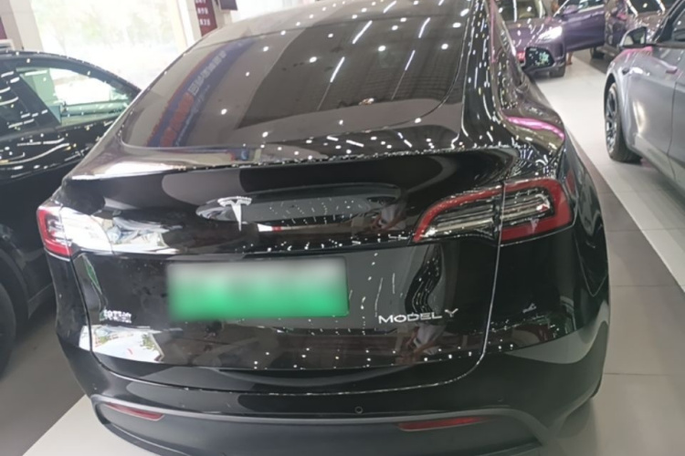 Tesla Model Y 2021 car image #4