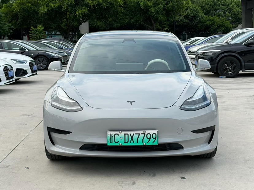 Tesla Model 3 2020 car image 