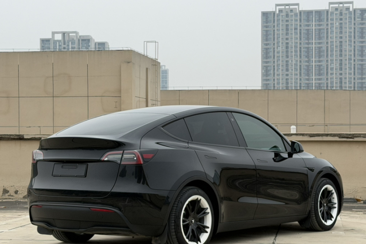 Tesla Model Y 2023 car image #6