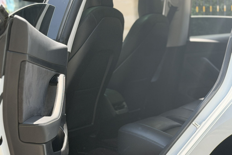 Tesla Model 3 2020 car image #12