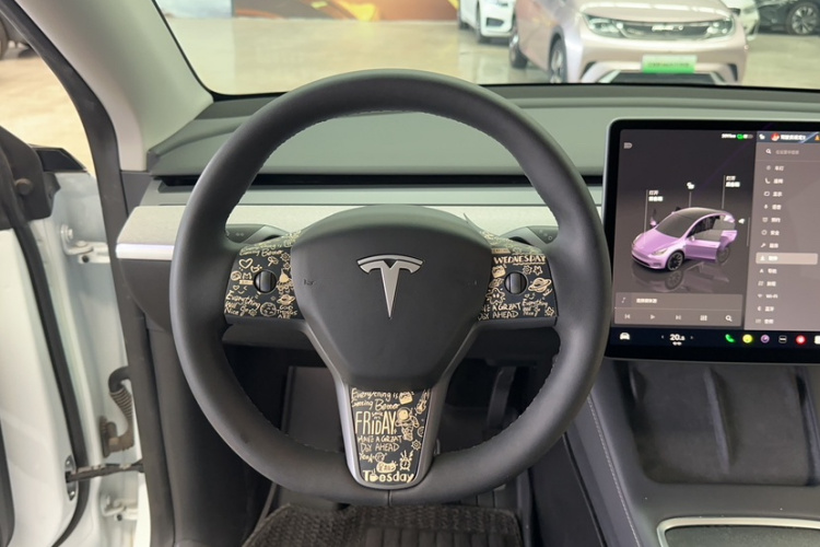 Tesla Model Y 2024 immagine di auto #14
